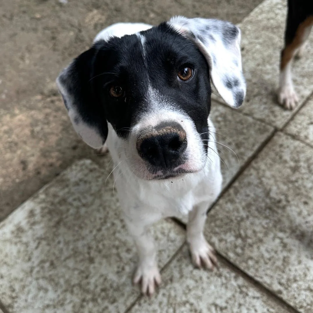 WhatsApp Image 2026-01-22 at 14.24.45 (1).jpeg