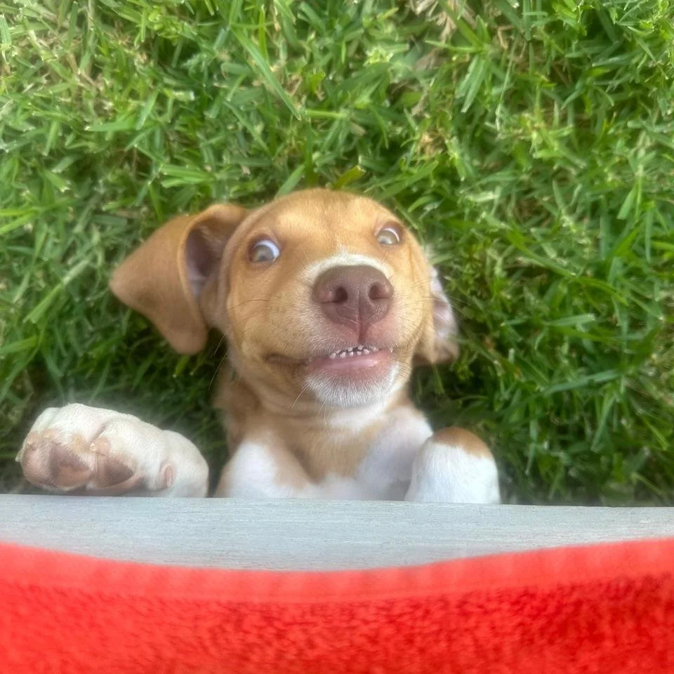 WhatsApp Image 2026-01-22 at 14.24.19 (1).jpeg