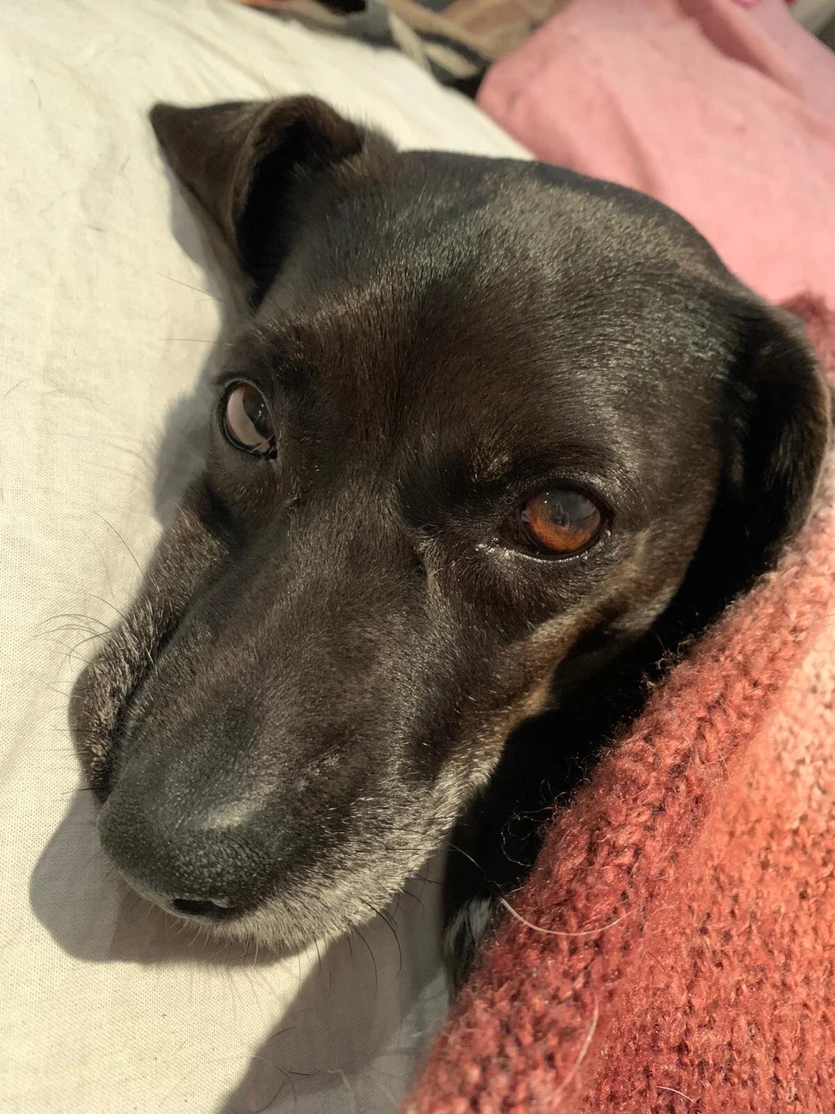 5BDC800B-A5AA-41FD-B146-846CD92DA0B6