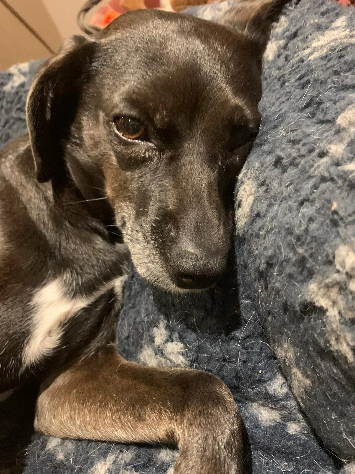 69D49176-D056-4AB9-8FC7-C252B67EF363