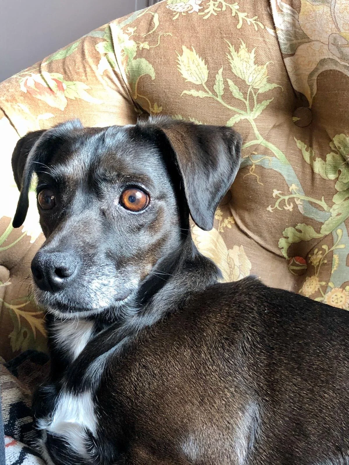 FF1BD4AB-8FE8-4079-B6A6-9E38E37FA329