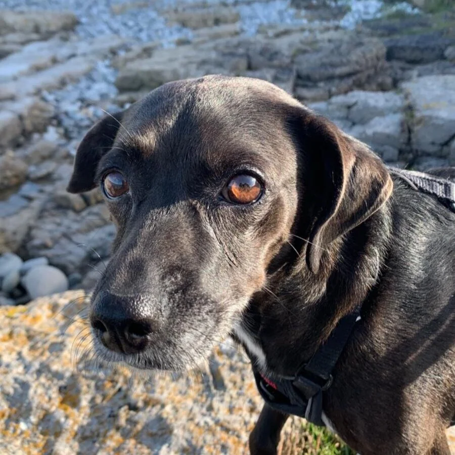 AC4F741A-B1DA-4A0C-A8CD-3D26C55498AB