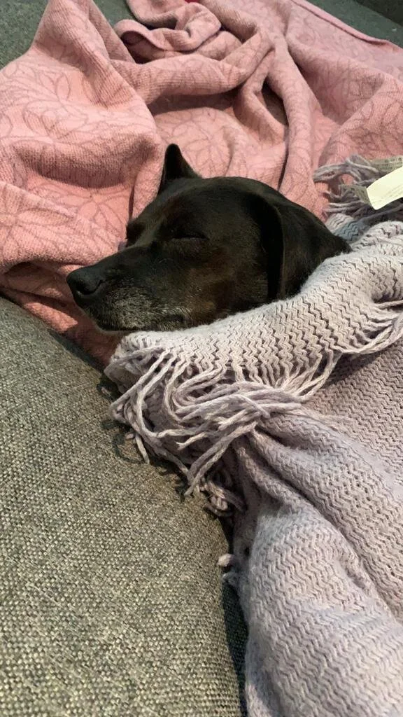 F945AB46-6858-4029-8C95-8DBDB68CB4EC