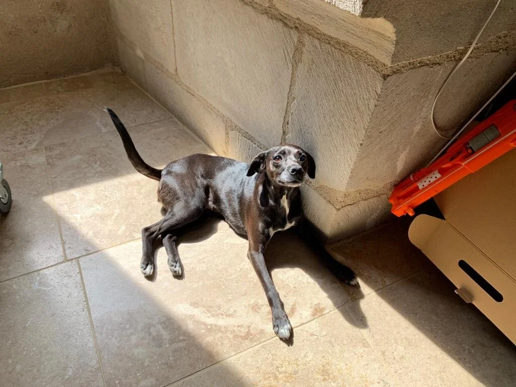 FCE89996-A9DA-4D09-A39B-A3C0ABACDD17