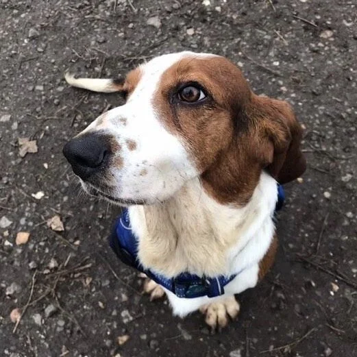 6C2A178E-7FB3-4180-A04F-42D45480685D