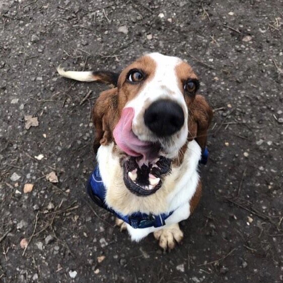 92EE92F7-9E1E-42ED-AF72-62CE604E14CE