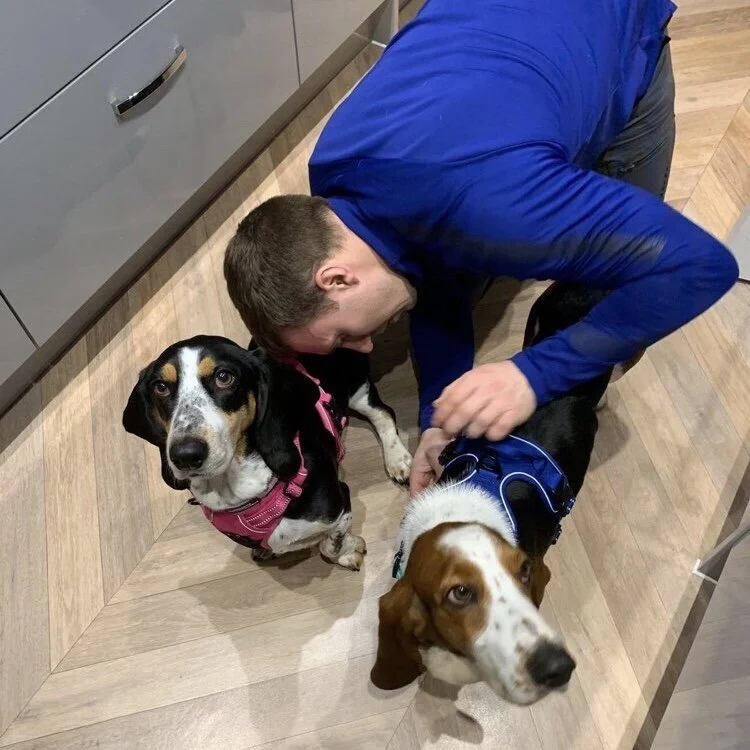 76E36EBF-EC27-4713-AE03-C2CFF361E5AB