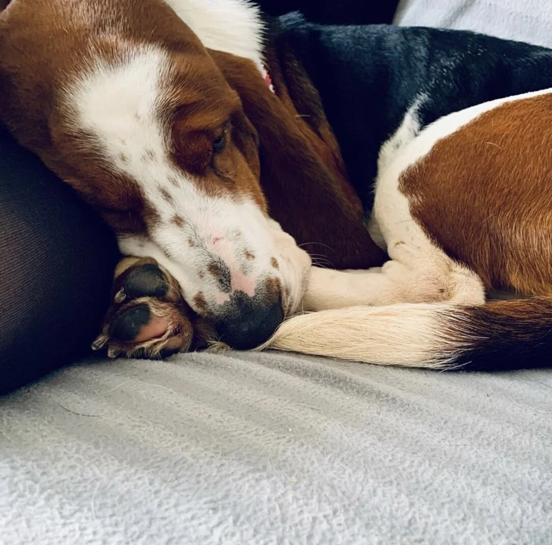 4AE40597-1F56-4032-A2E6-F29762AD5AB2