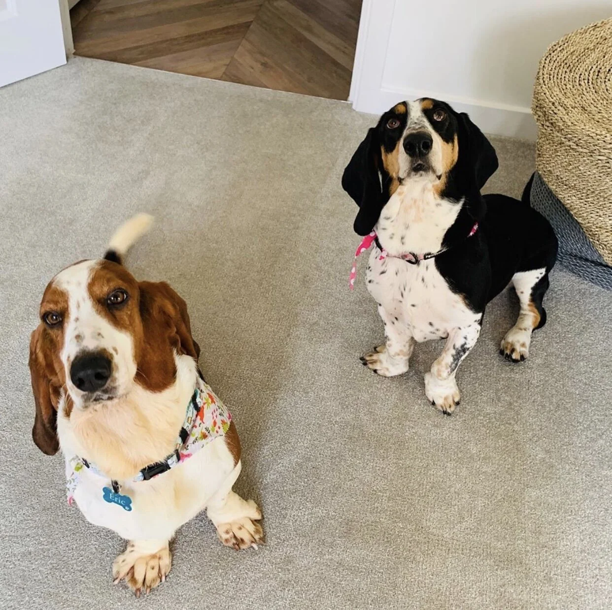 1D25CF20-41E4-4504-B3CC-A6170FA0A884