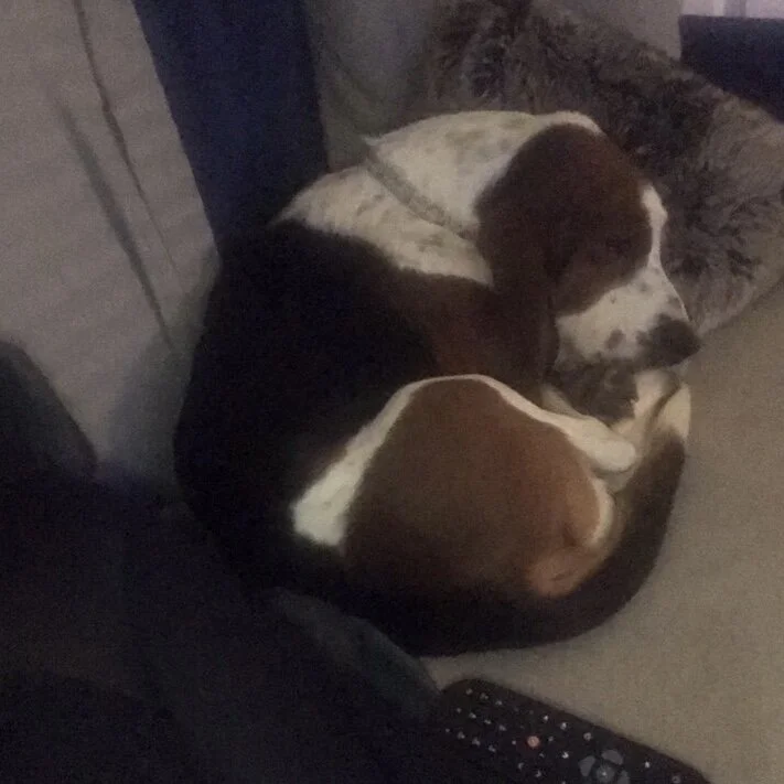 FB9EAF66-F9F3-4F8F-BA25-3DE395912A02