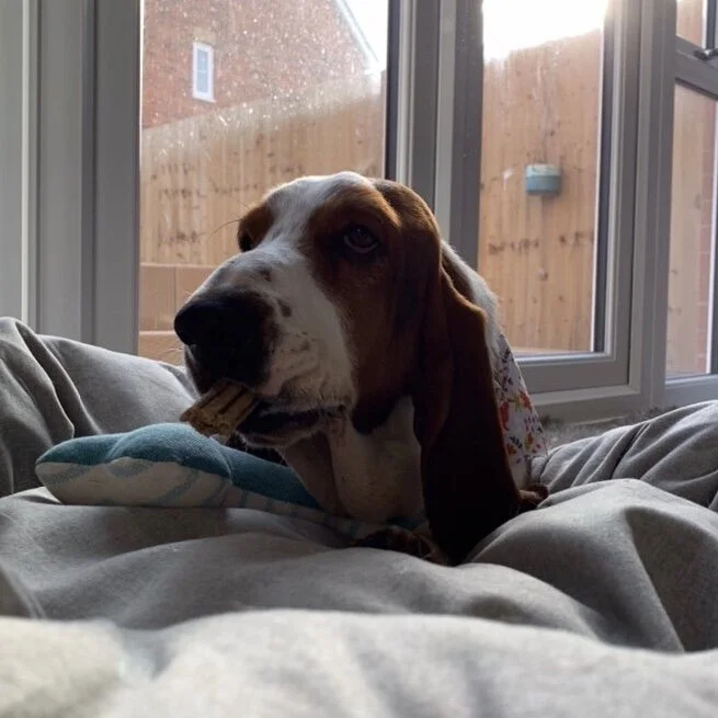 AED48C32-08DB-4C34-BB55-40C7937A0189