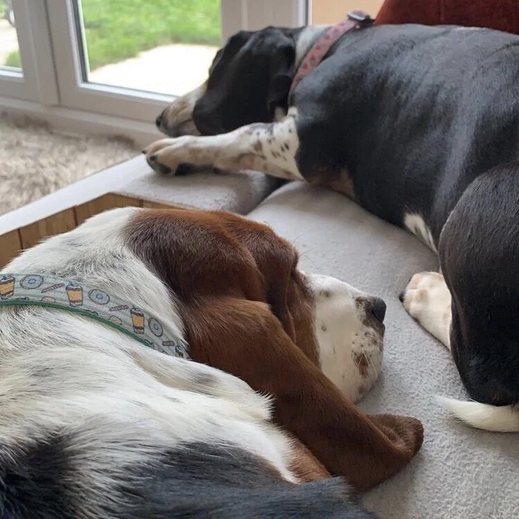 807E3DB4-E02F-4777-83F9-BC070C104834