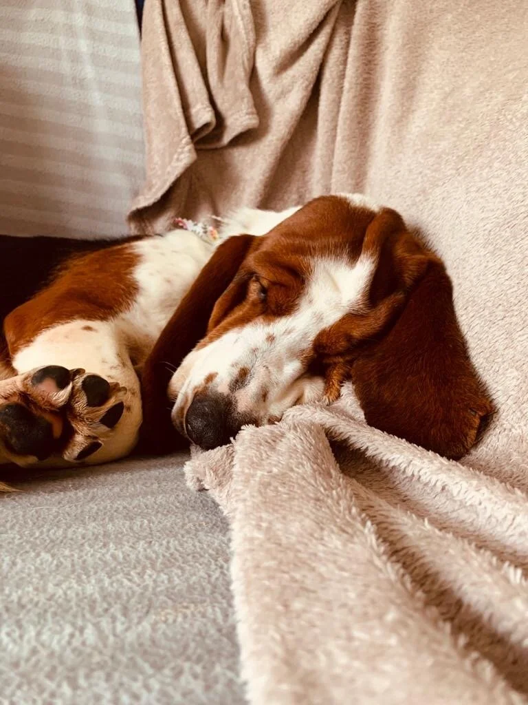 ADEB1813-4B30-4BBA-9D84-B087806C2FE8