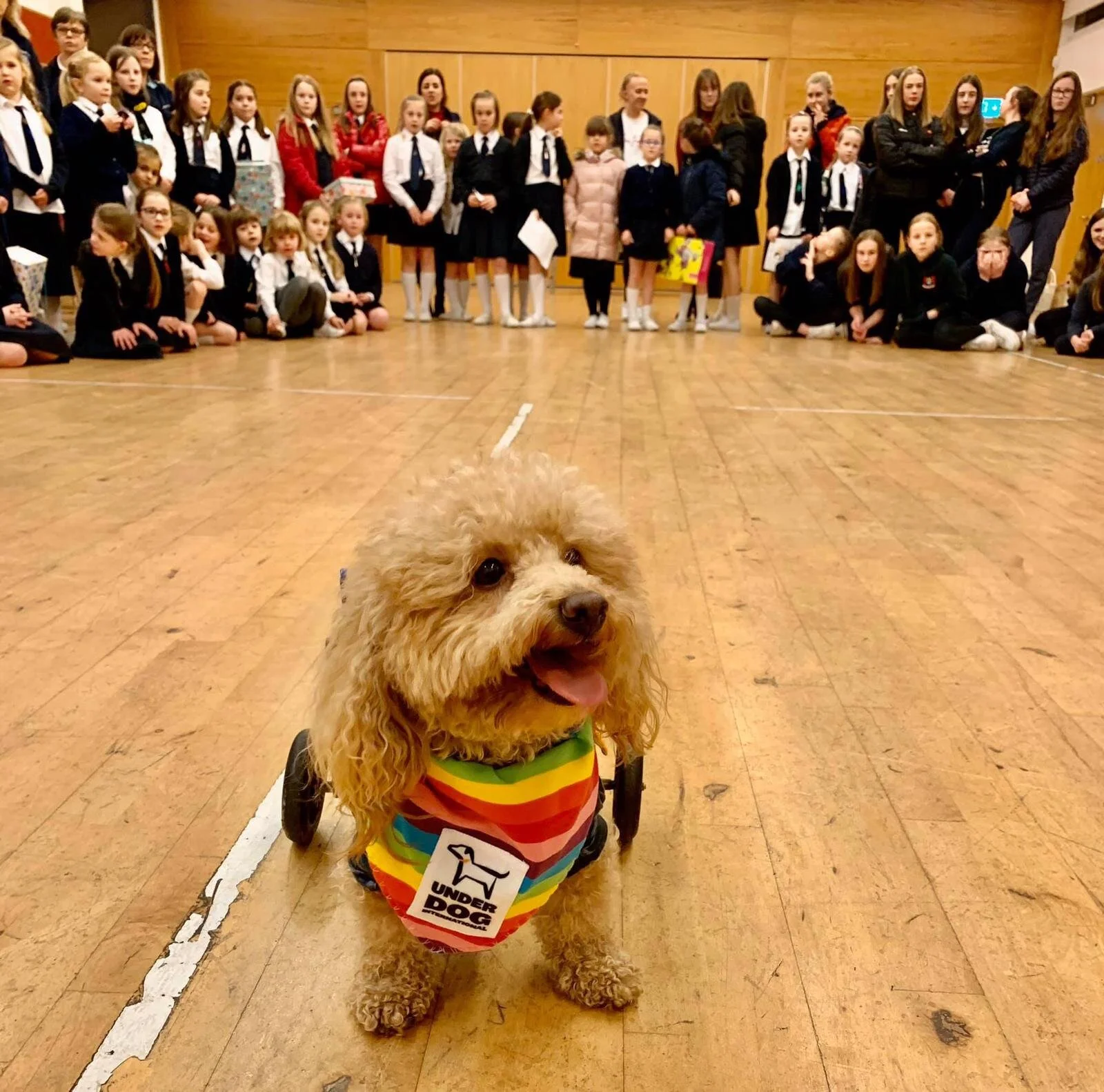 A03674E5-FA86-404C-914F-4085D2D7FD28