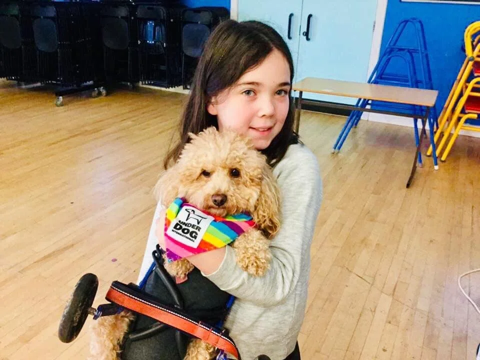 8B873F0D-4A11-4A1B-B185-2D5D81BDCD45