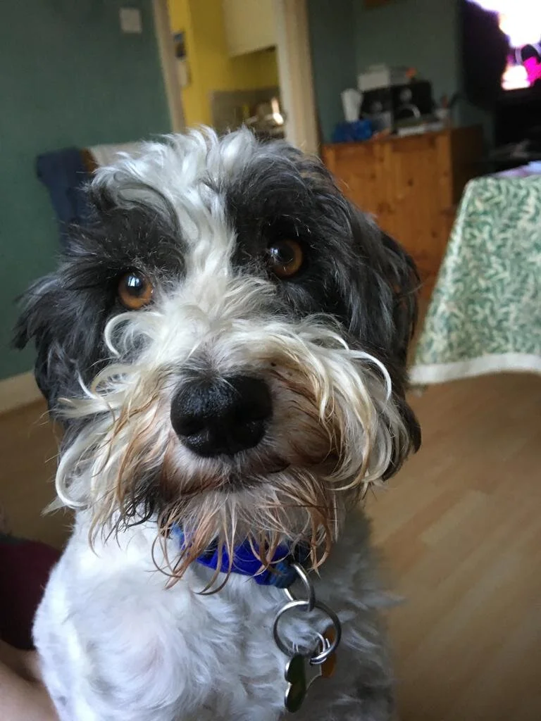 1845A128-D31B-4EC1-AE0F-DF8DB4E7A96A