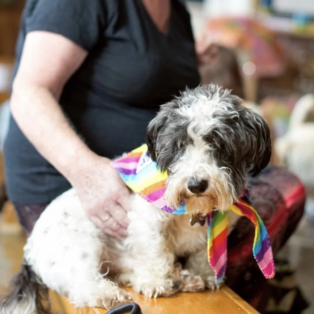 1682ADBA-FC87-4A57-81C1-8E49B1E78FD2