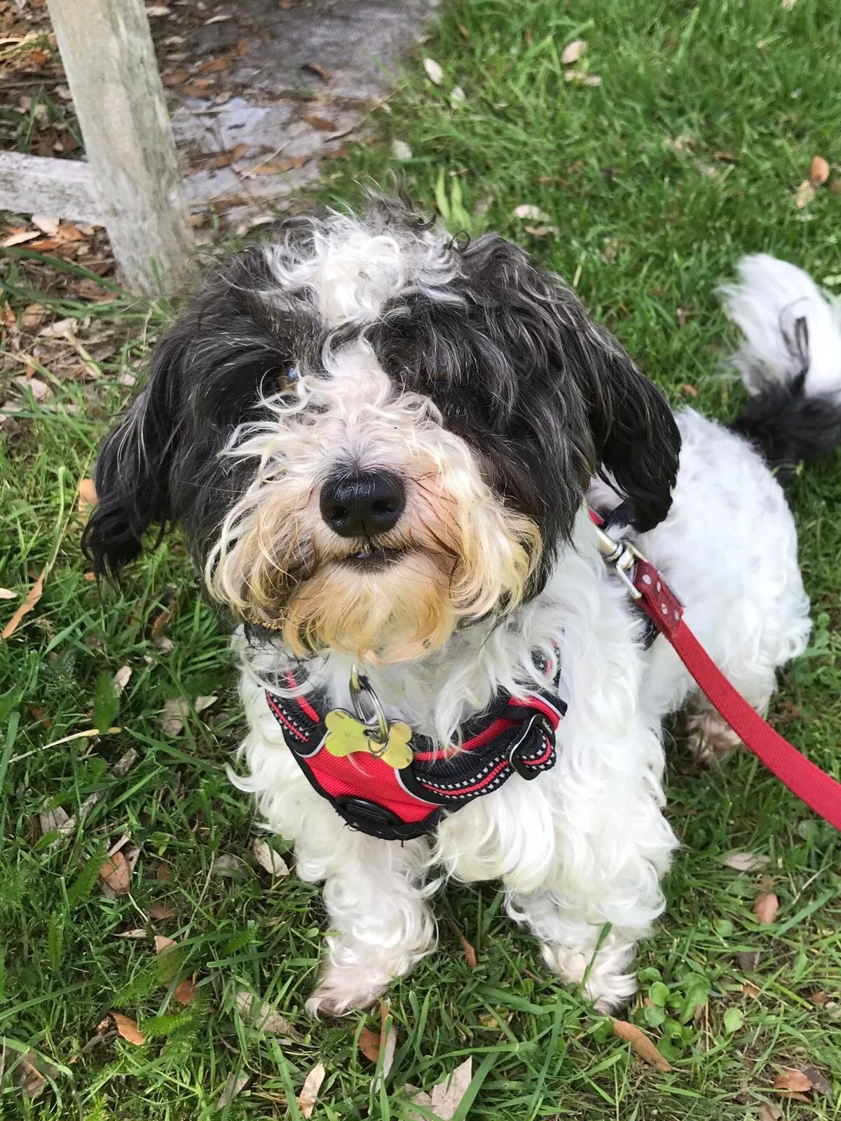 060F0CA0-B80B-4D16-91D0-38CC2D632FC6