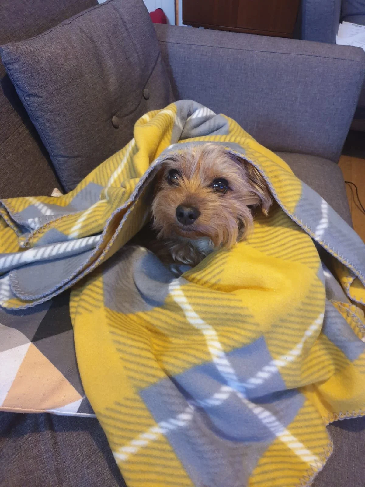 41D3FCB6-C591-4D9F-815A-F35947E87127