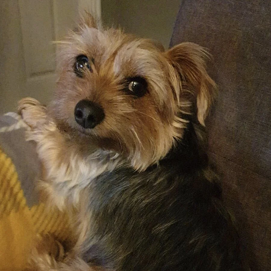 7303DEE3-16D8-46FD-B87F-FC68975BD7C7