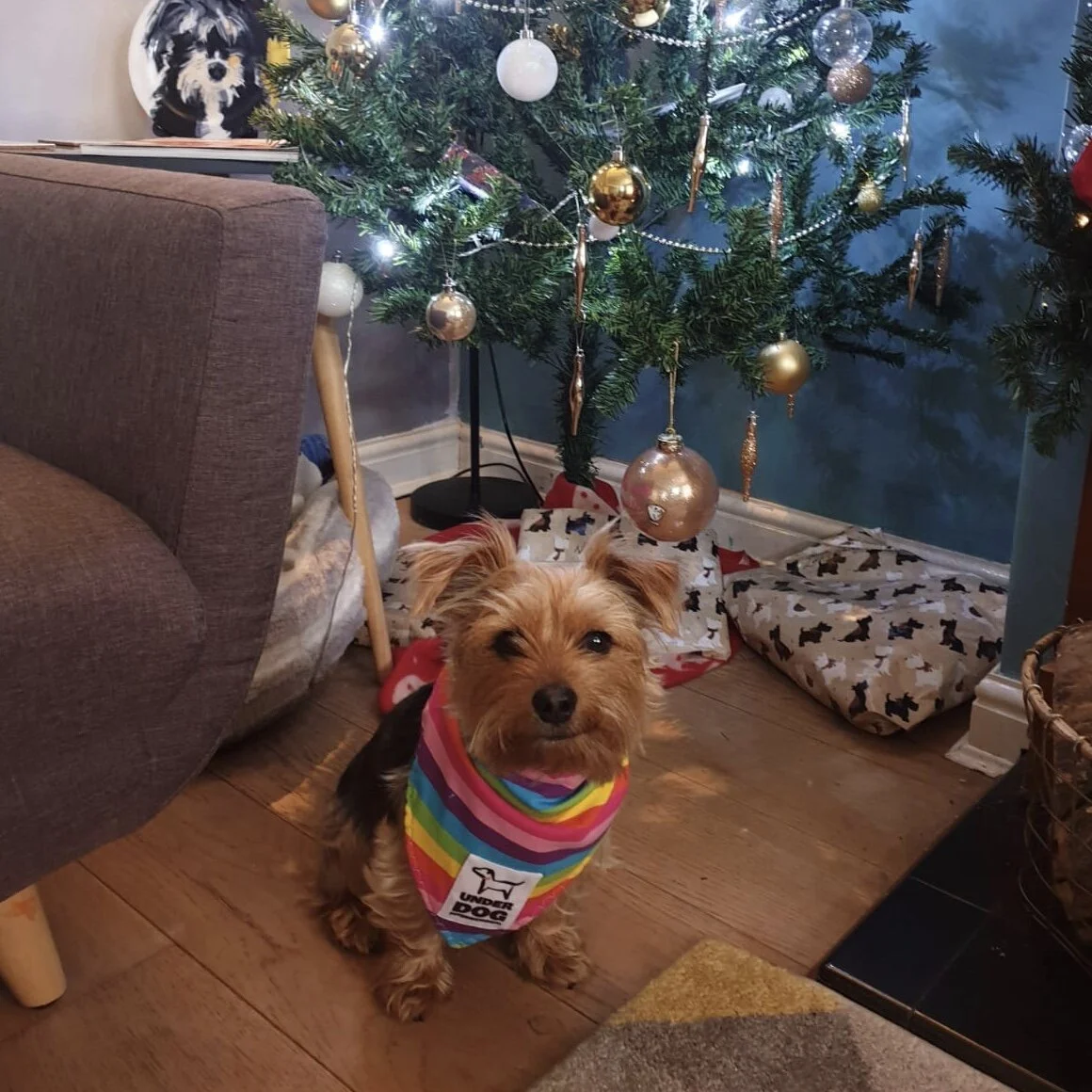 E6C931DC-C789-4ECA-BF35-641908851FAF