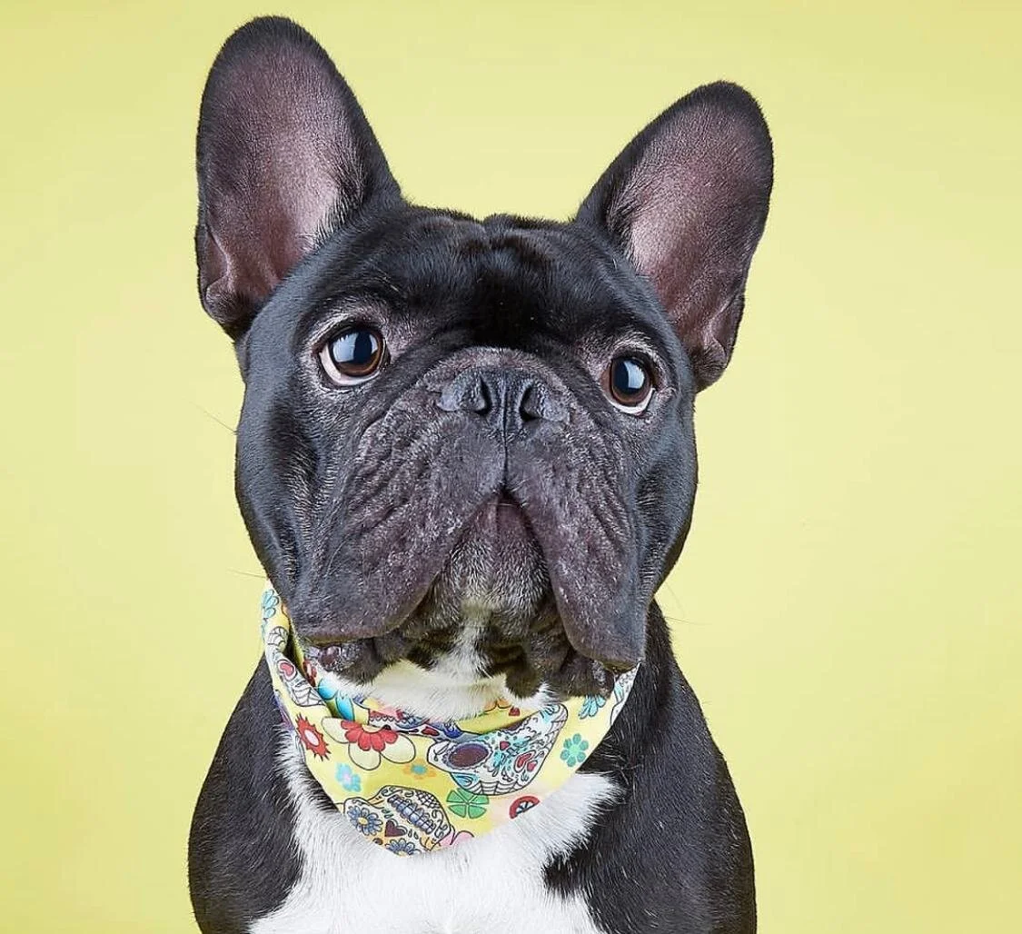 6EC8FD82-CA13-4AFF-A680-AAFABDCE22A5