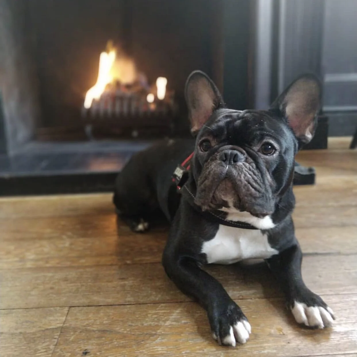 0561E3D4-E029-4716-BC6C-4F41DC43DE1E