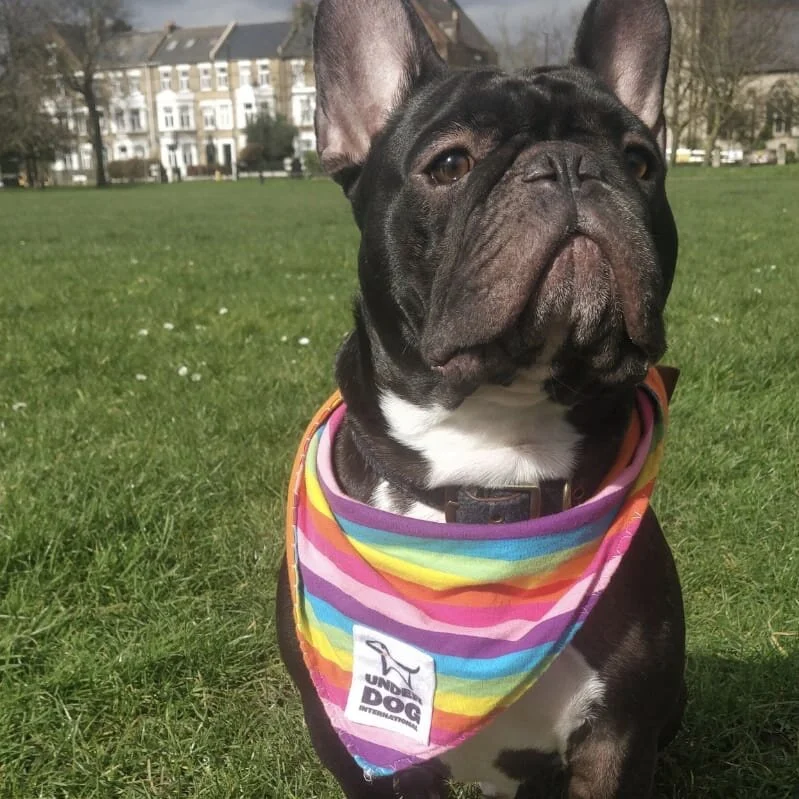 449DDC45-2F4A-4F43-984C-A115744EDC0C