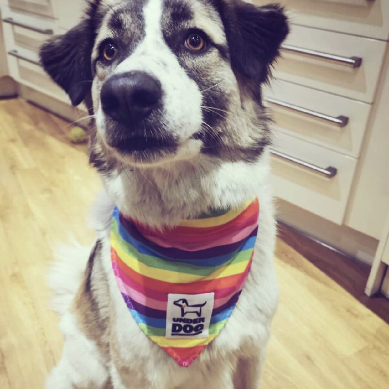 5A562FD2-314E-4ABB-B4C5-500C9BC04AA5