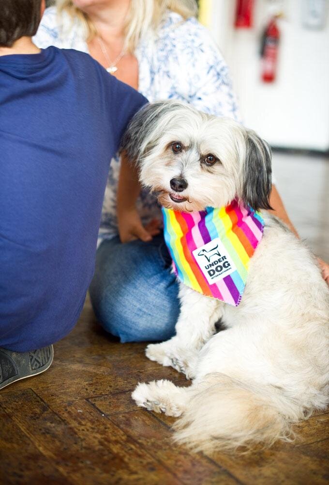 AB93AC17-CD9D-43AB-8479-27685F841FE2