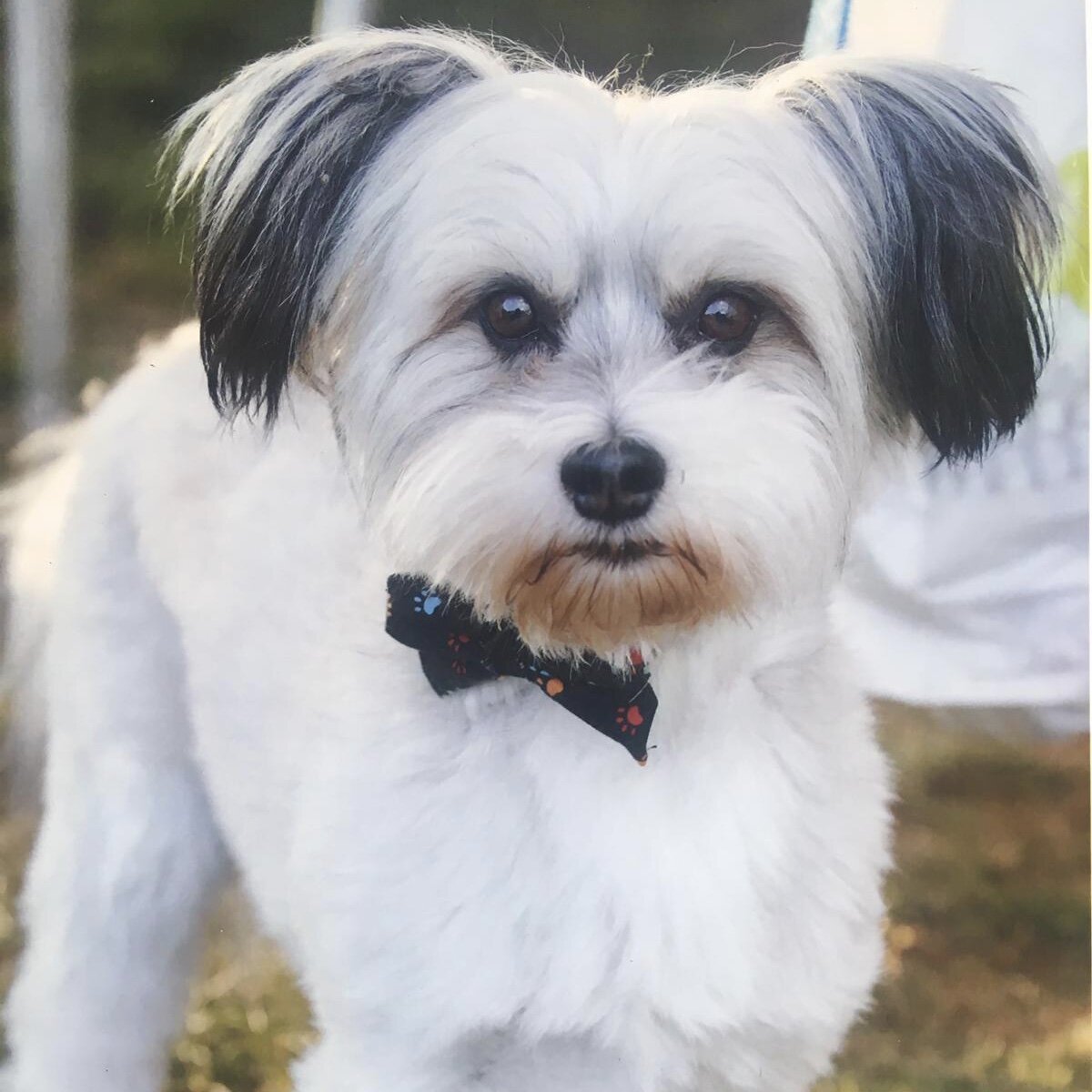 D37CEA3E-11B3-494E-9F4C-7CB9B9B541D9