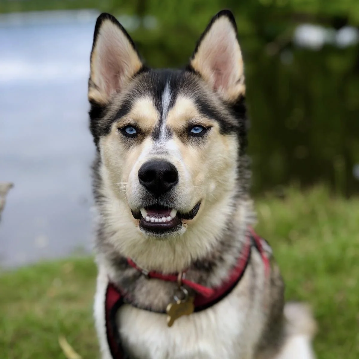 5090D9EF-6B2D-41F3-8051-1E1317985443