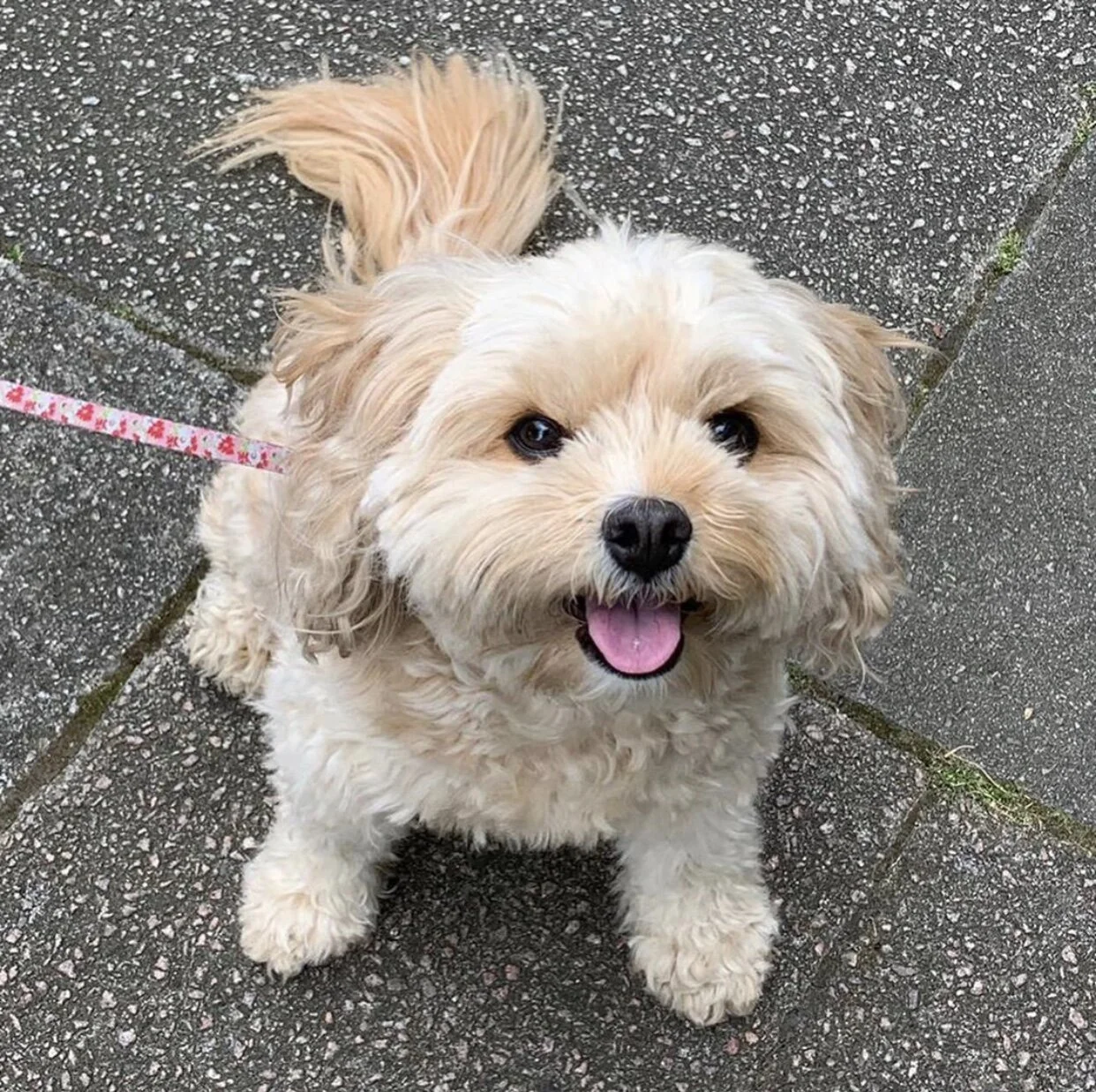 FB9F6C81-186D-4A0D-B2CC-F3FC759B4CFC