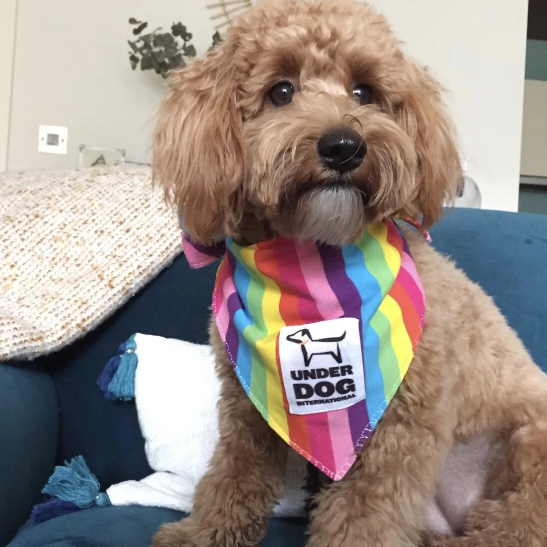 C326B70C-0041-4856-8D3B-1CFE461BCDD0