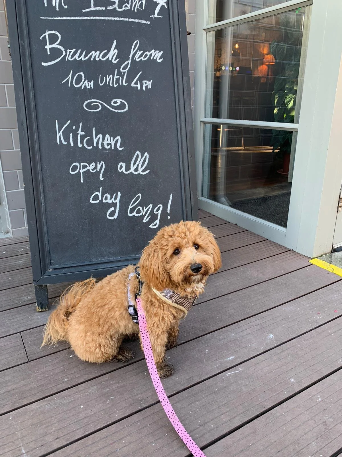 0FE89ABF-1FE6-4678-809C-1F0B9B0266DE