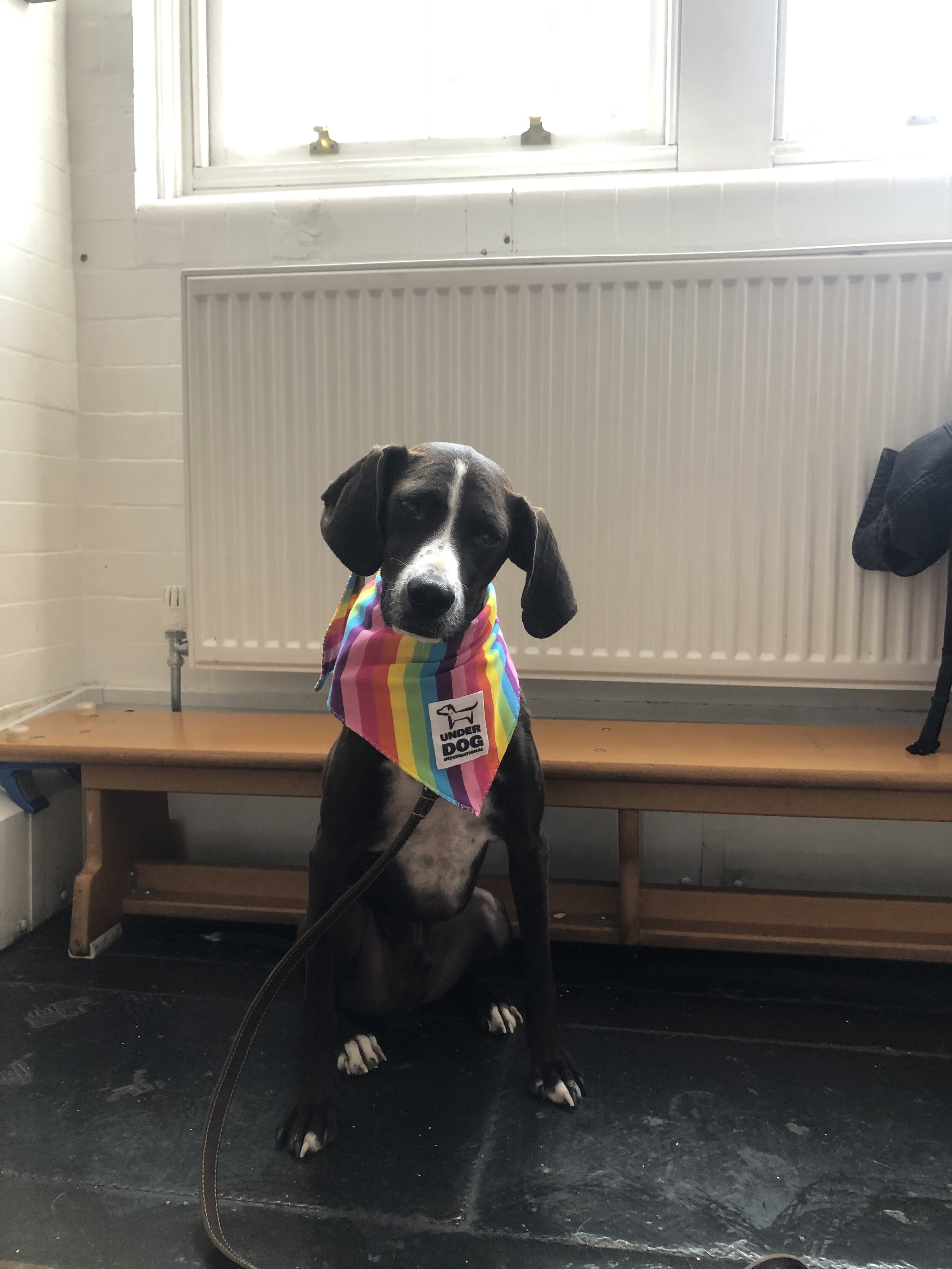 B39ED328-1683-4FB5-B56C-86A466CFF0FF