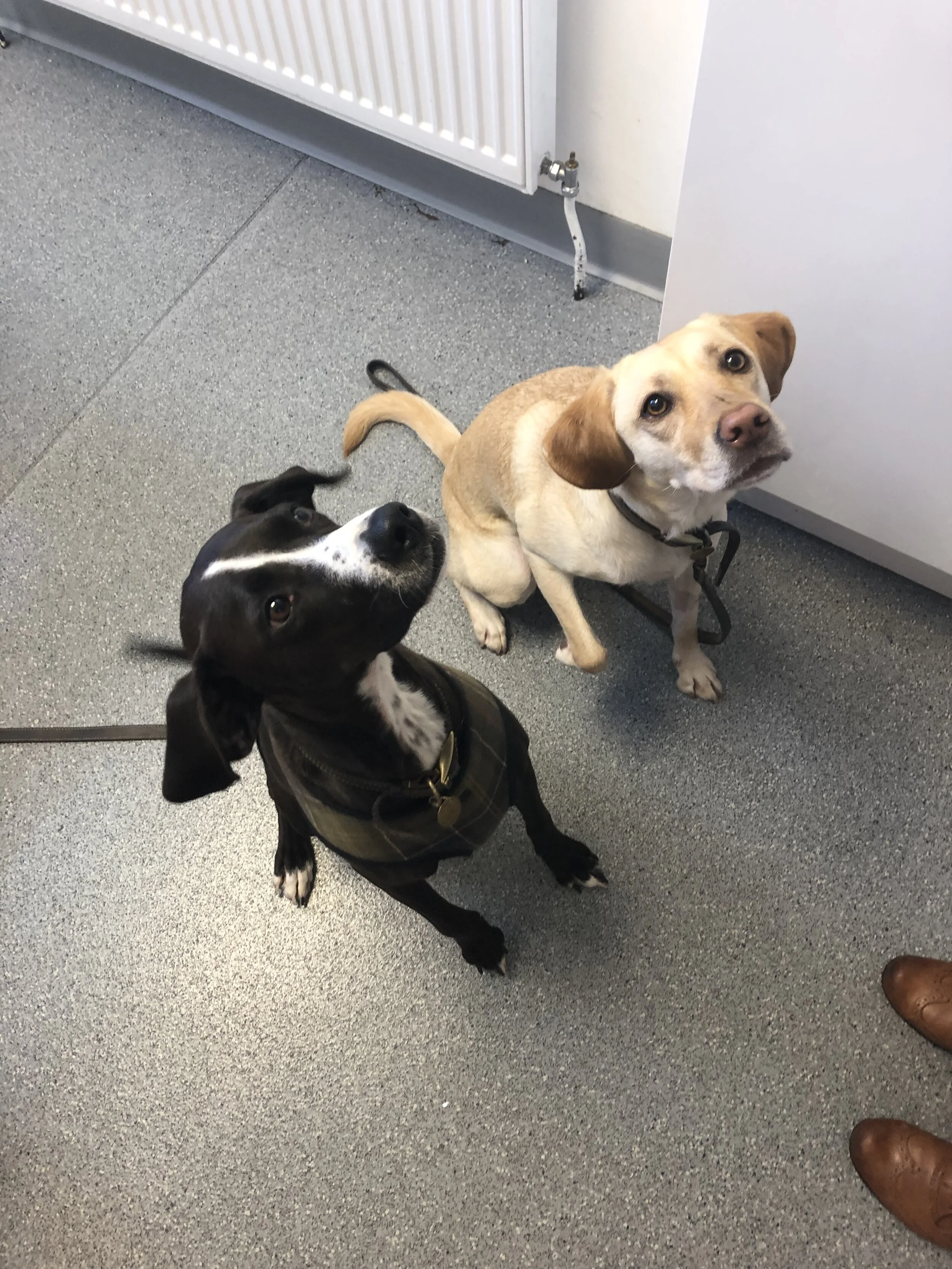 458D8F6C-10D5-4297-8C5C-6F19942ADCF2