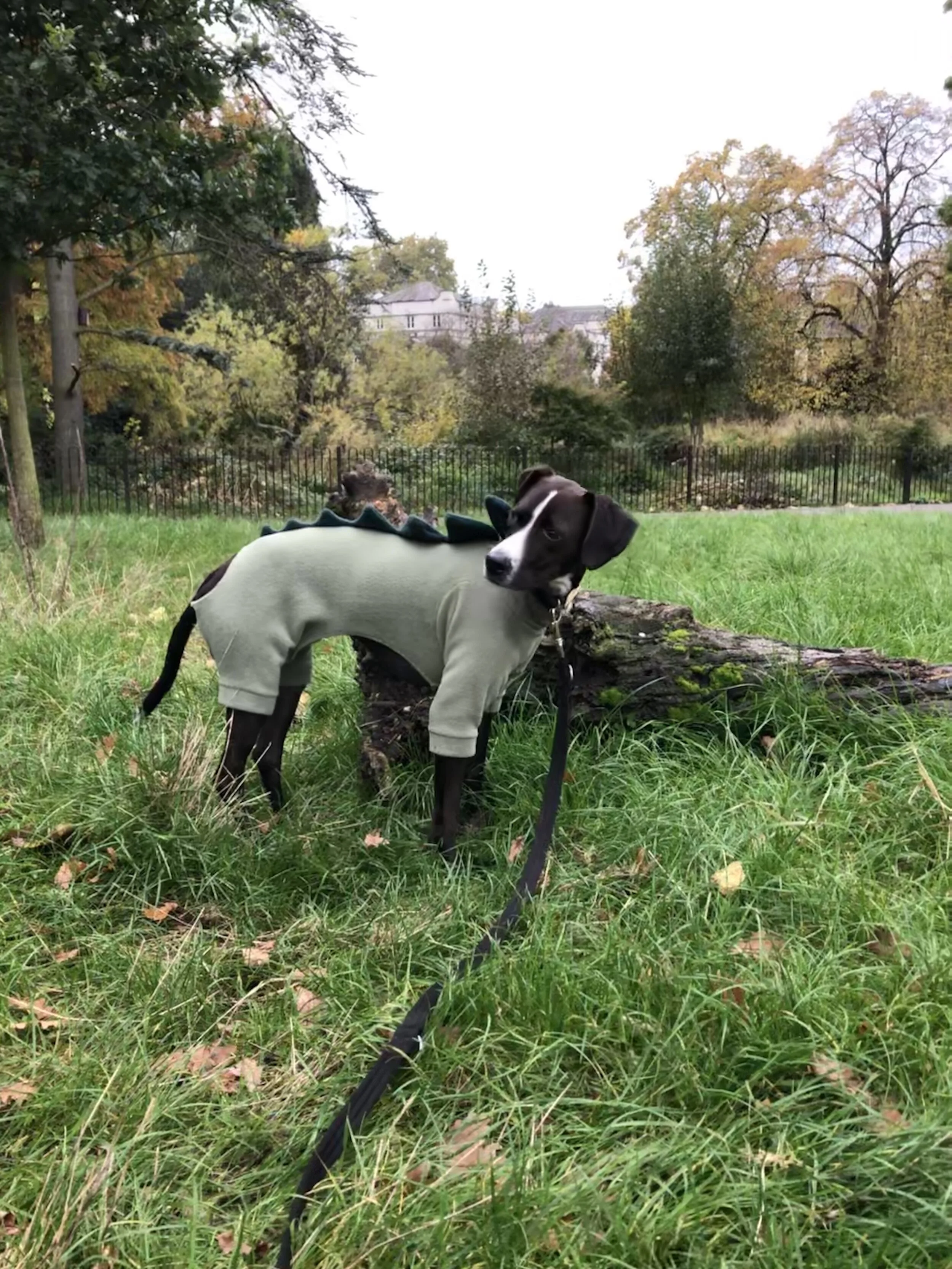 1954A9E4-C4B1-400F-B4A0-DAA68C544DF8