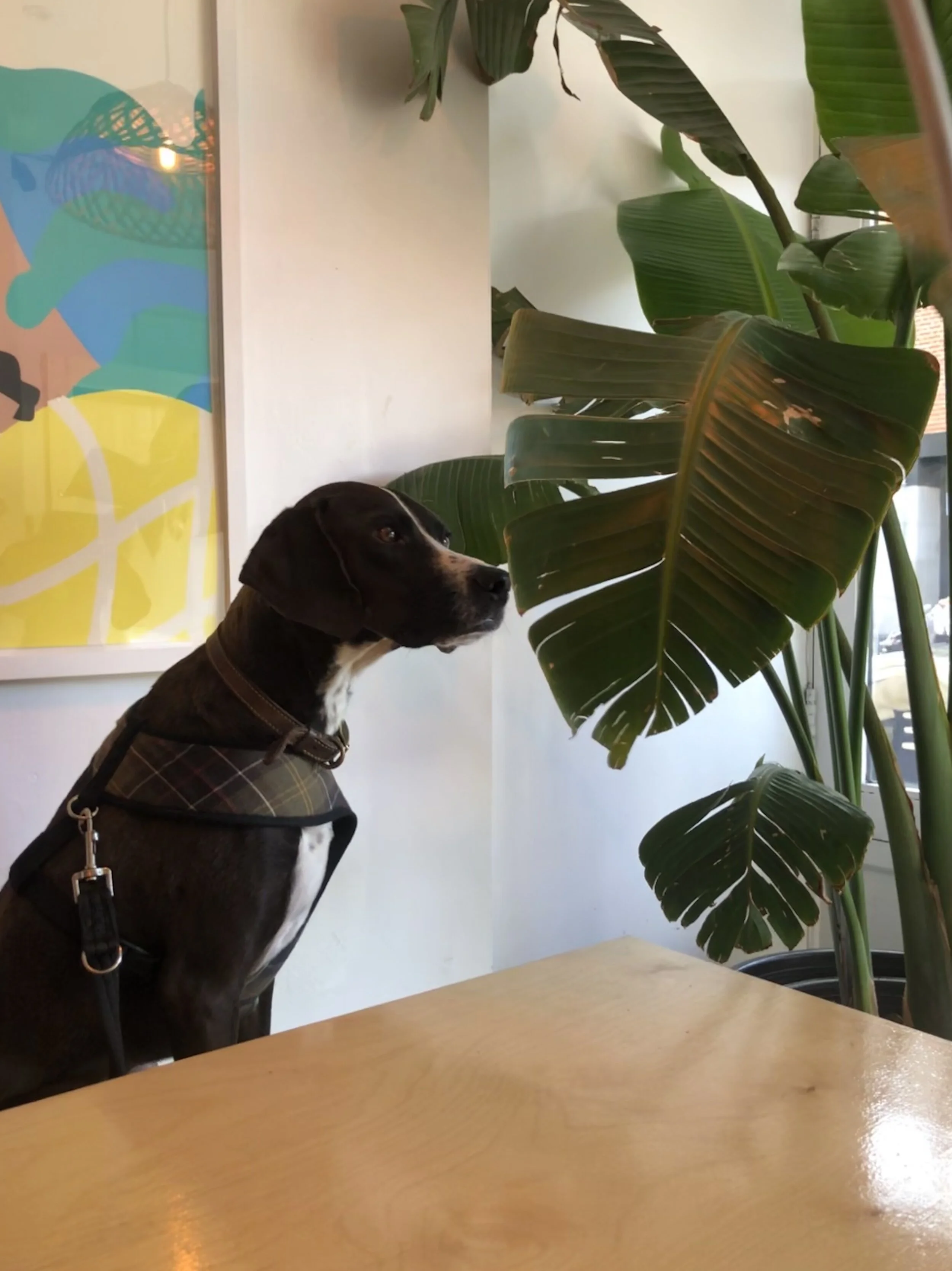 1C08ED1B-5E30-483F-9481-23EC7C6F6940