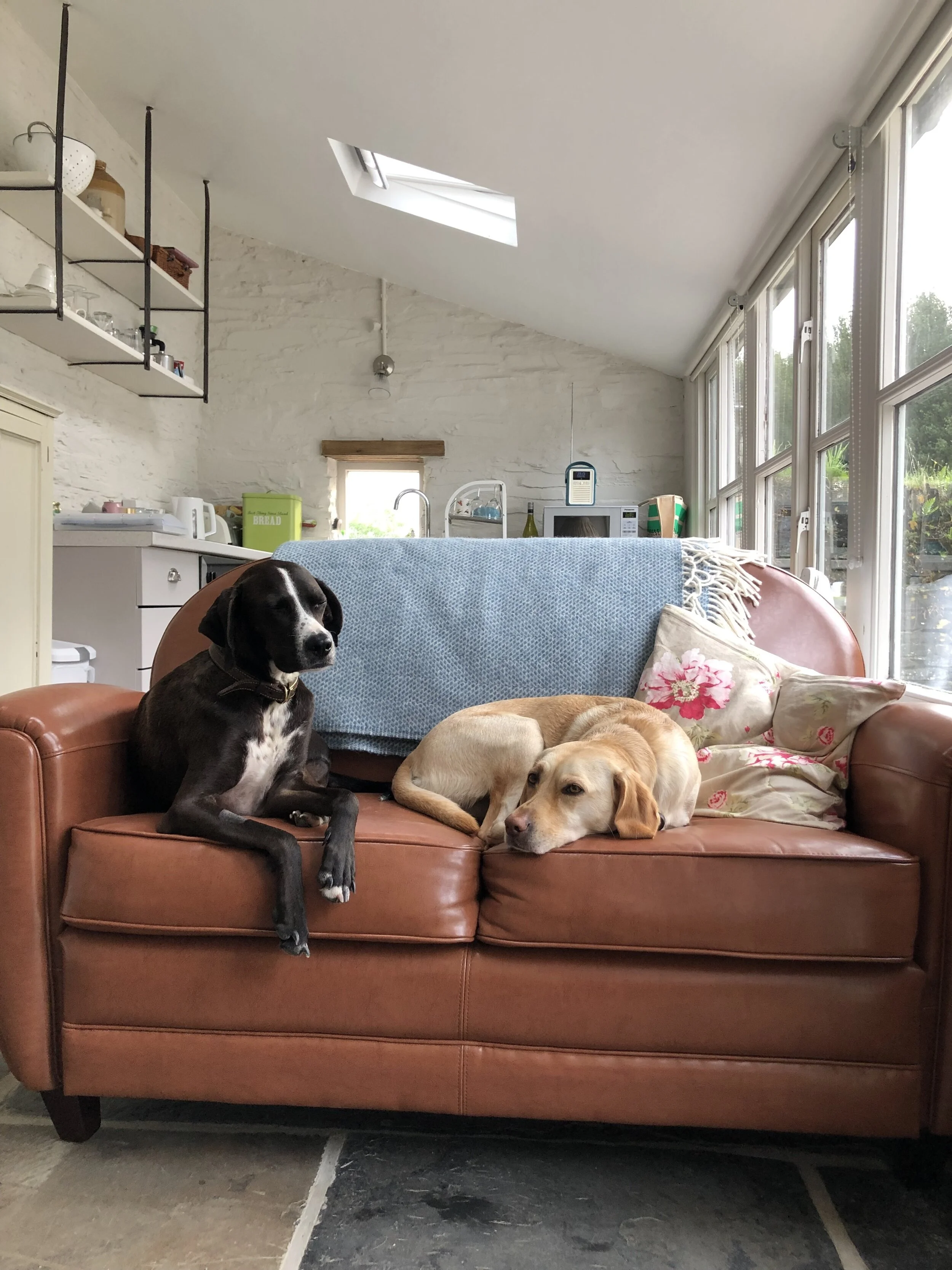 576BC010-3DEA-46BB-9E5D-7B04FD292DBC