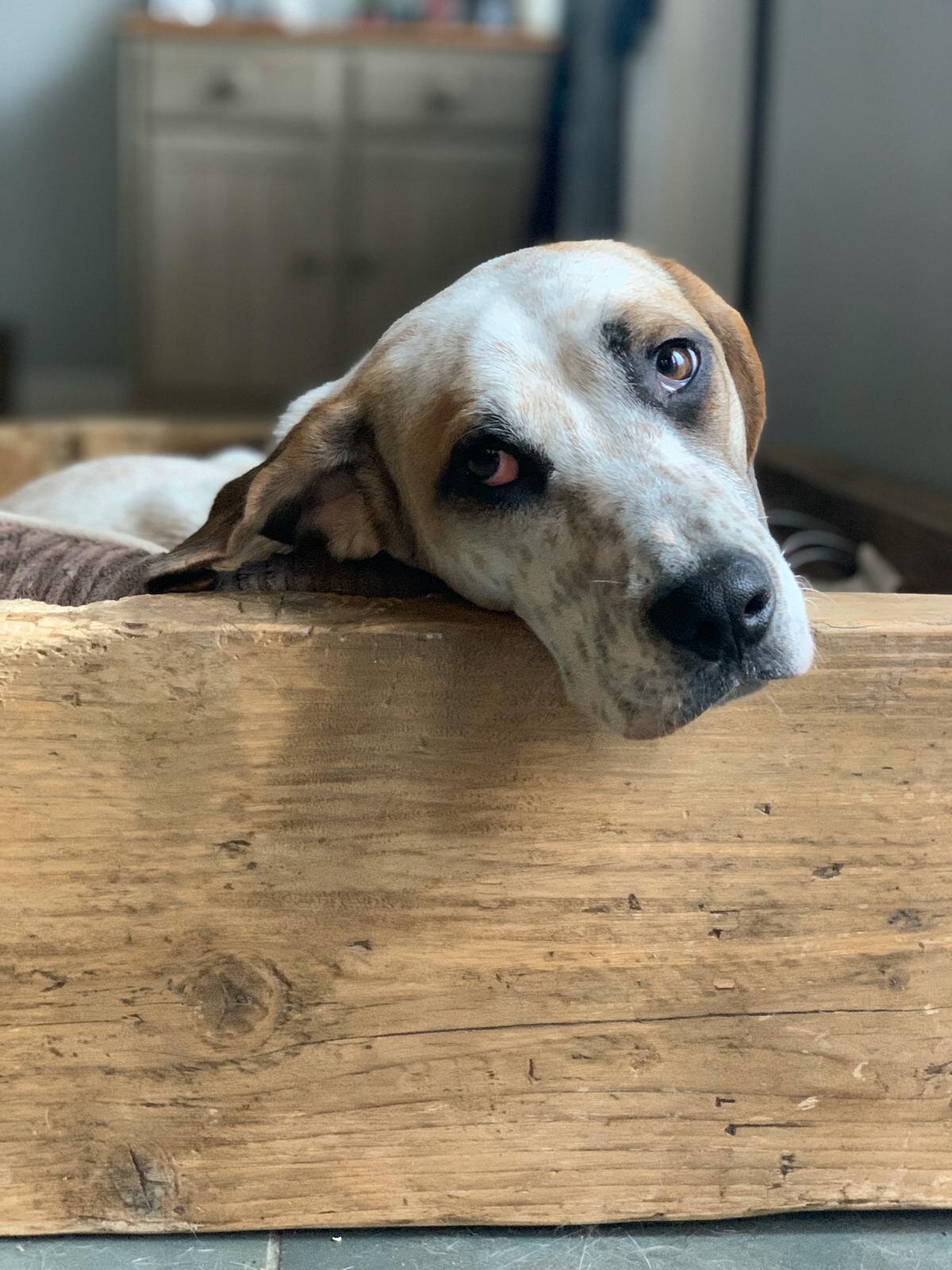 D28033D7-985A-4B87-AFDD-8805BA28CF09