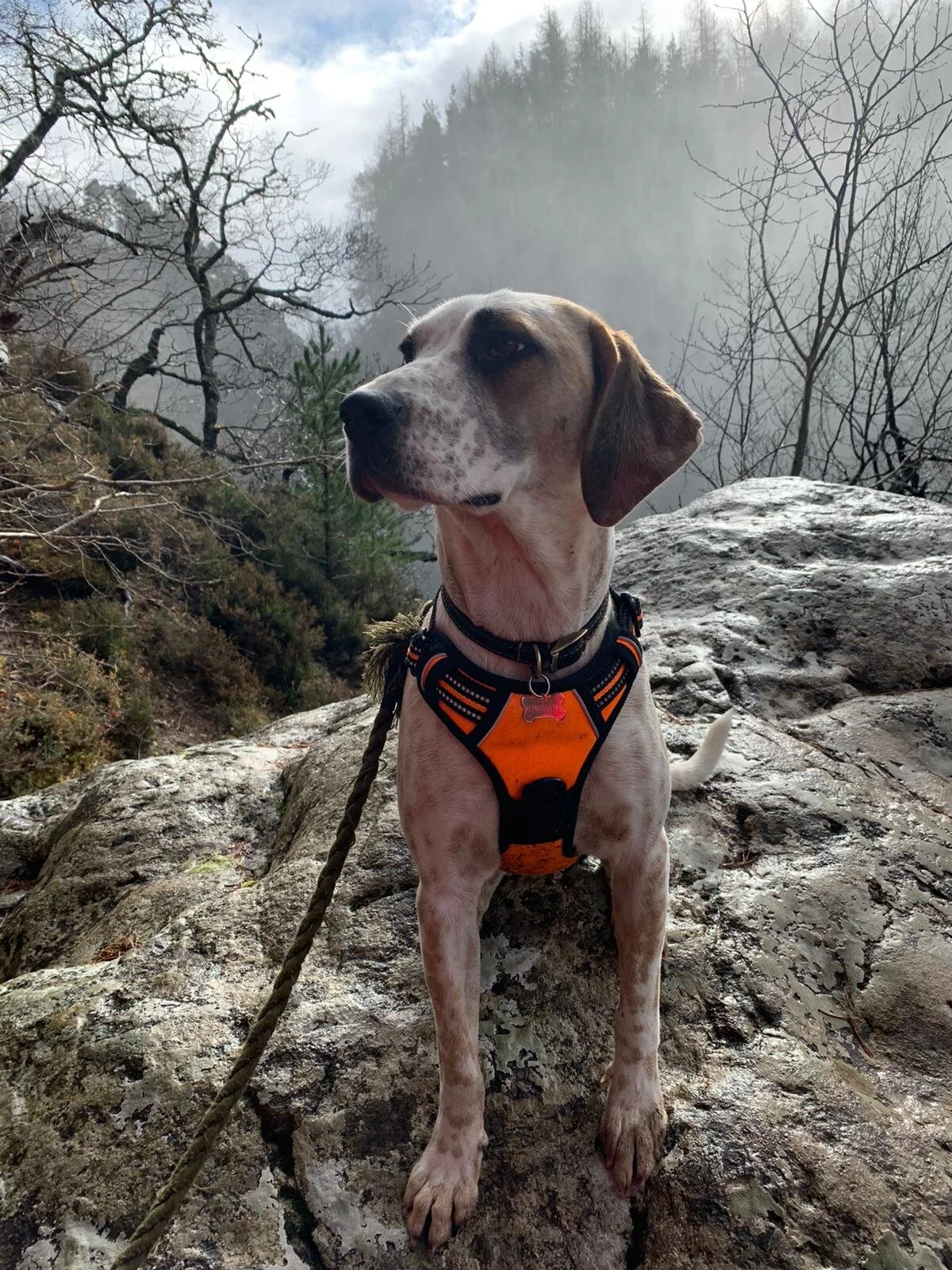 EF0638B6-7188-4271-BB33-9371EEB8BEC9