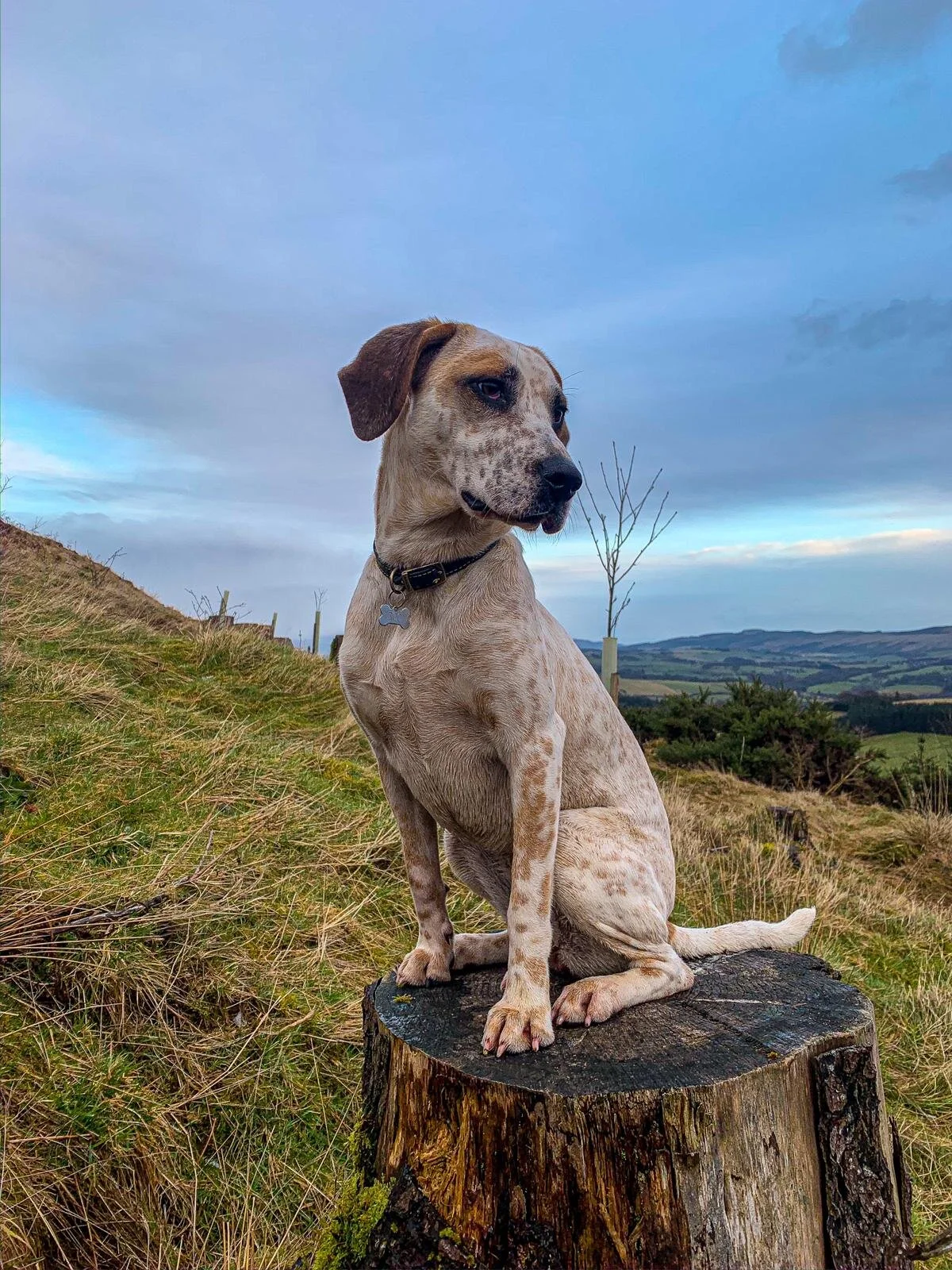 0FDF3C86-AE22-48C9-A695-408D1A040C2E