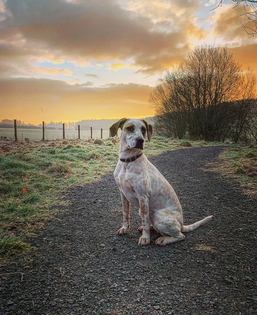 2D9E1615-979A-42A8-8307-41B314FB3B10