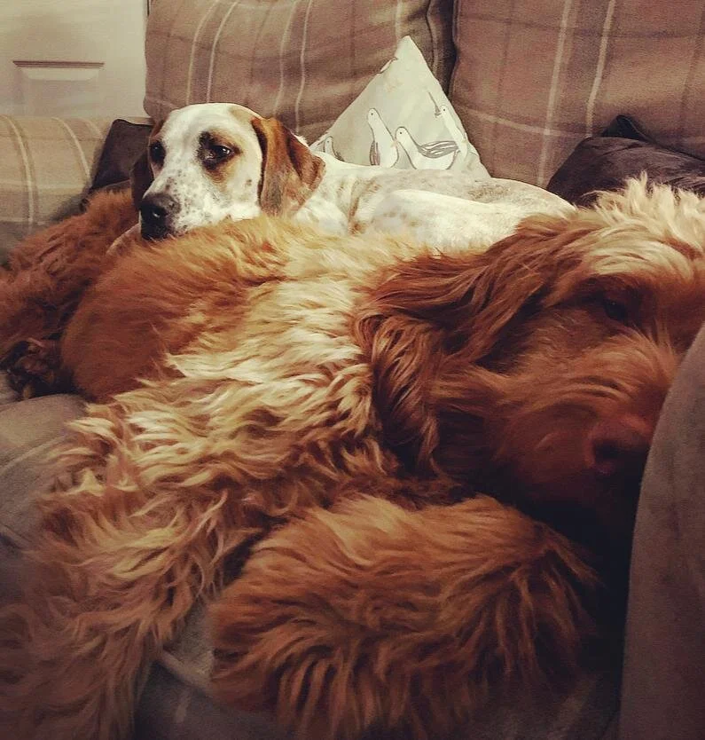 F7FFABD0-EE23-477E-925A-E09D40852021