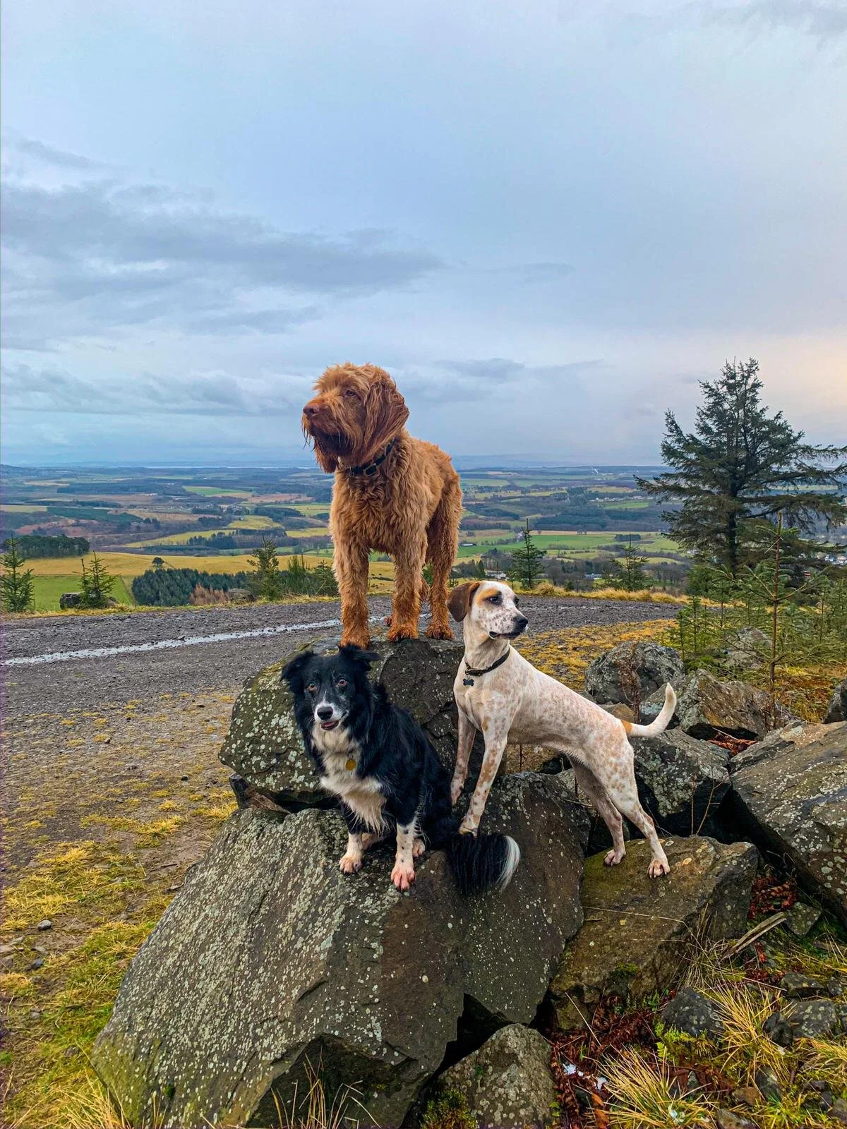 1FC656DB-568C-4EA1-9664-CD7FF86DC036