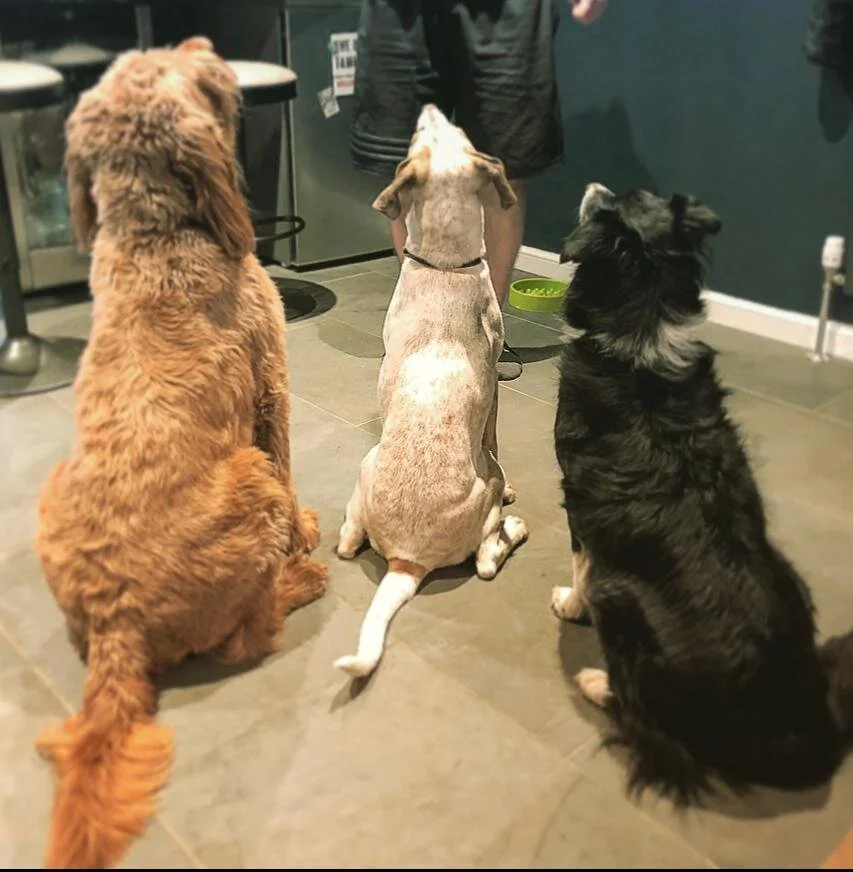 D0311730-67C0-4155-9AF4-E41CAC1F4E11