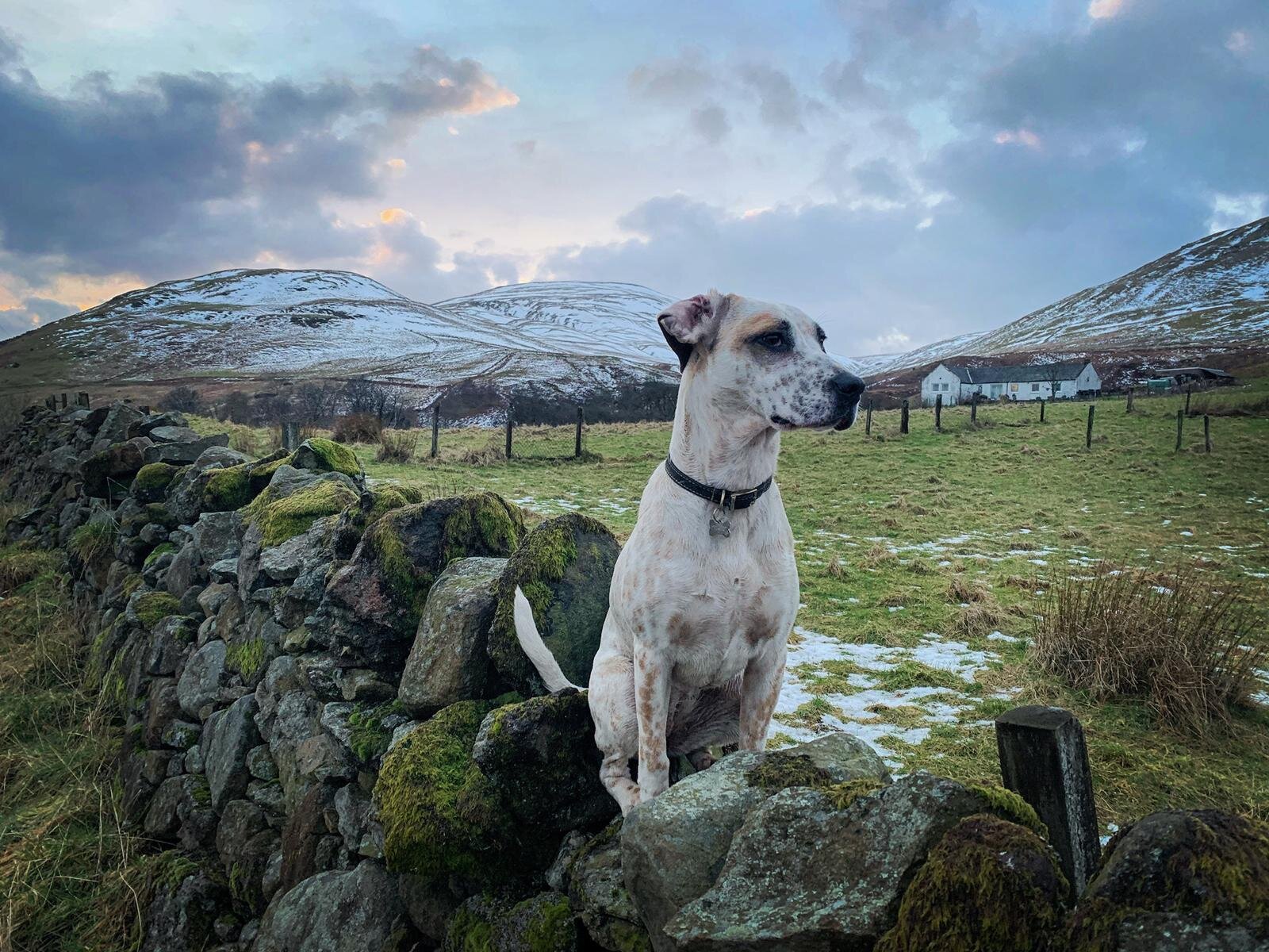 2EC56F3A-08B6-4A76-9448-FDD572727436