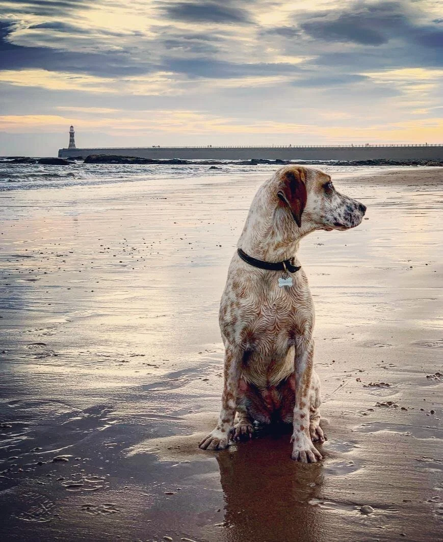 1111622C-EF0D-4E9A-BF37-DCAF67787922