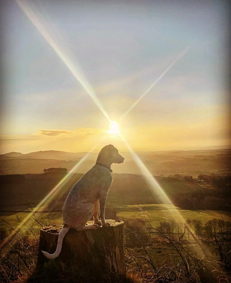 0B7EE4C1-DC34-4E49-ABE4-7C907482D96F